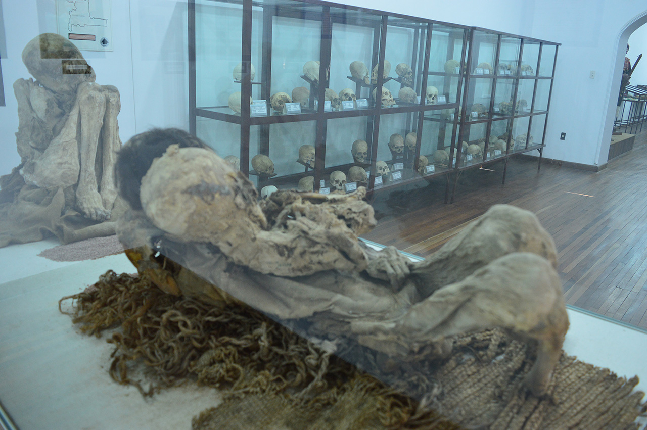 Sala de Antropología Física