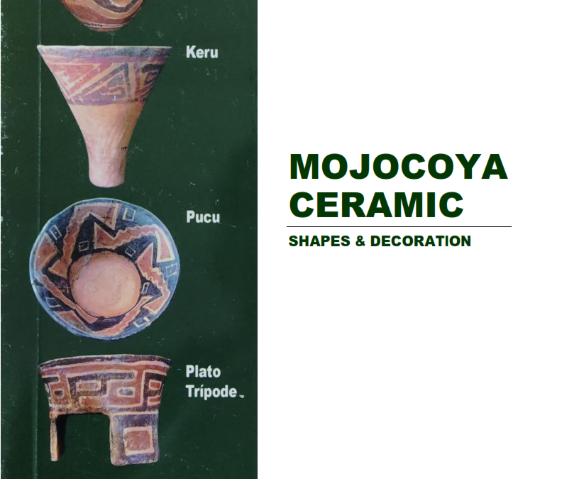 Advances in Archaelogical Research Nº 4